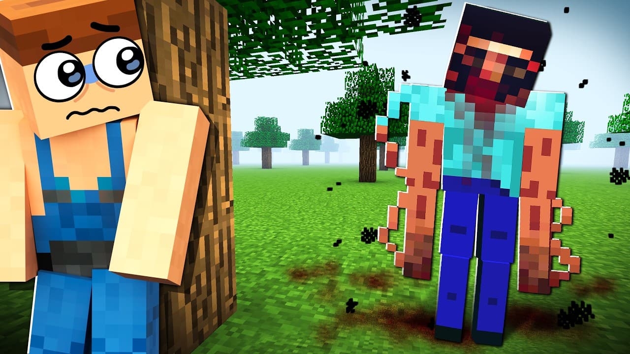 MINECRAFT WONDERLAND