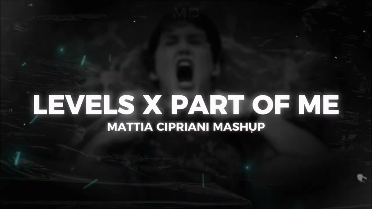 LEVELS X PART OF ME (Avicii, Katy Perry) [Mattia Cipriani Mashup]