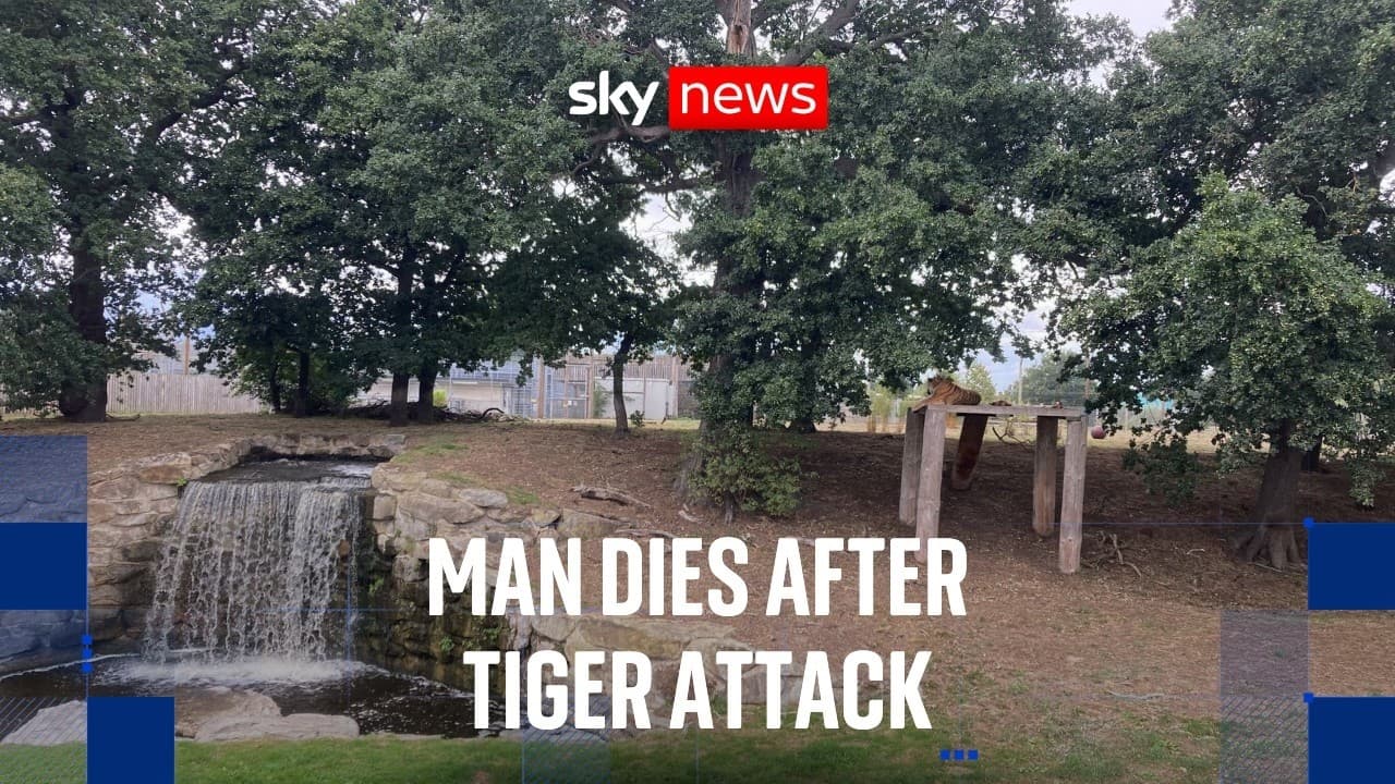 Man dies after attack by tiger at UK wildlife park