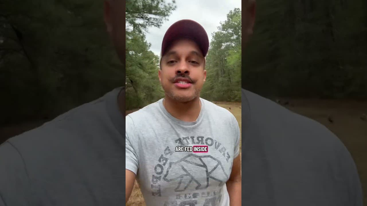 If you have 20,000 hens and your “candid” video shows a single hen, somebody’s full of it