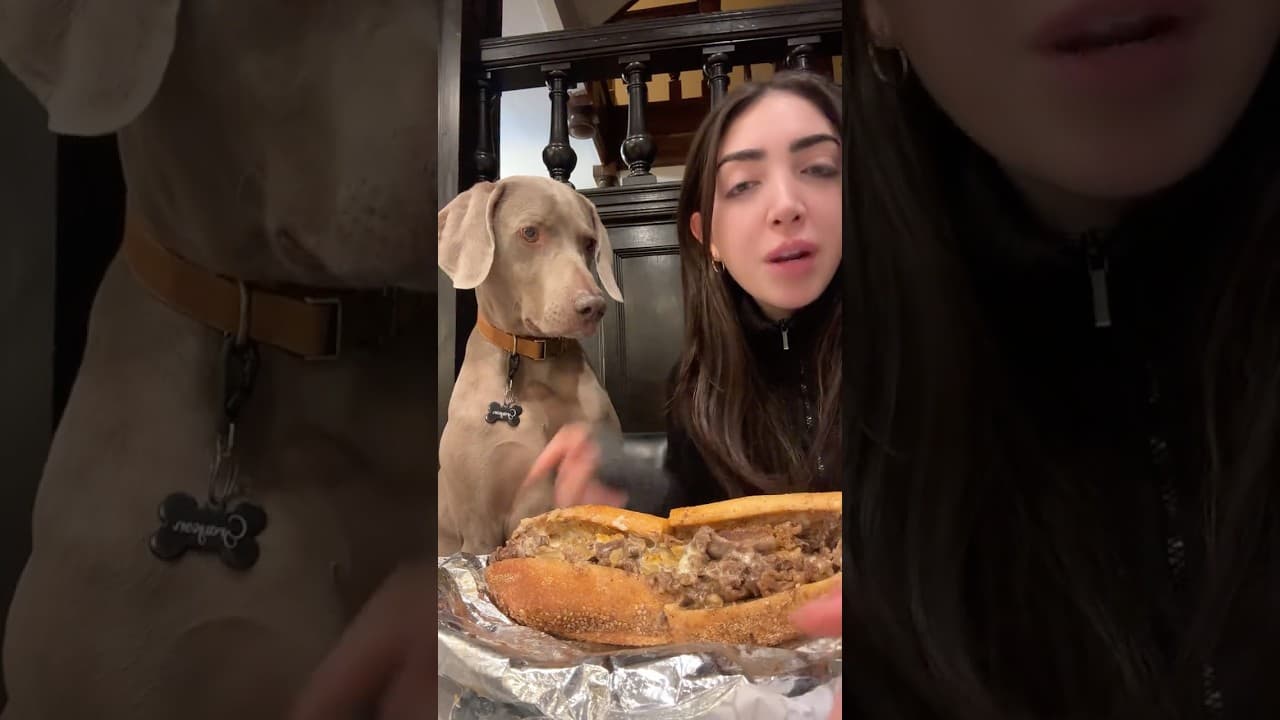 This One Was Hard to Watch 😭🐶