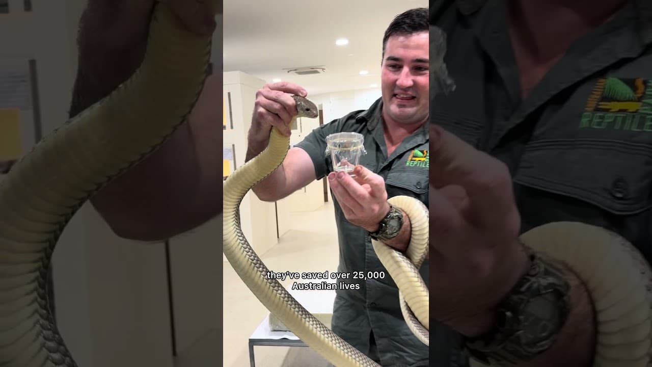 Thank you so much for the tour! @AustralianReptilePark ￼