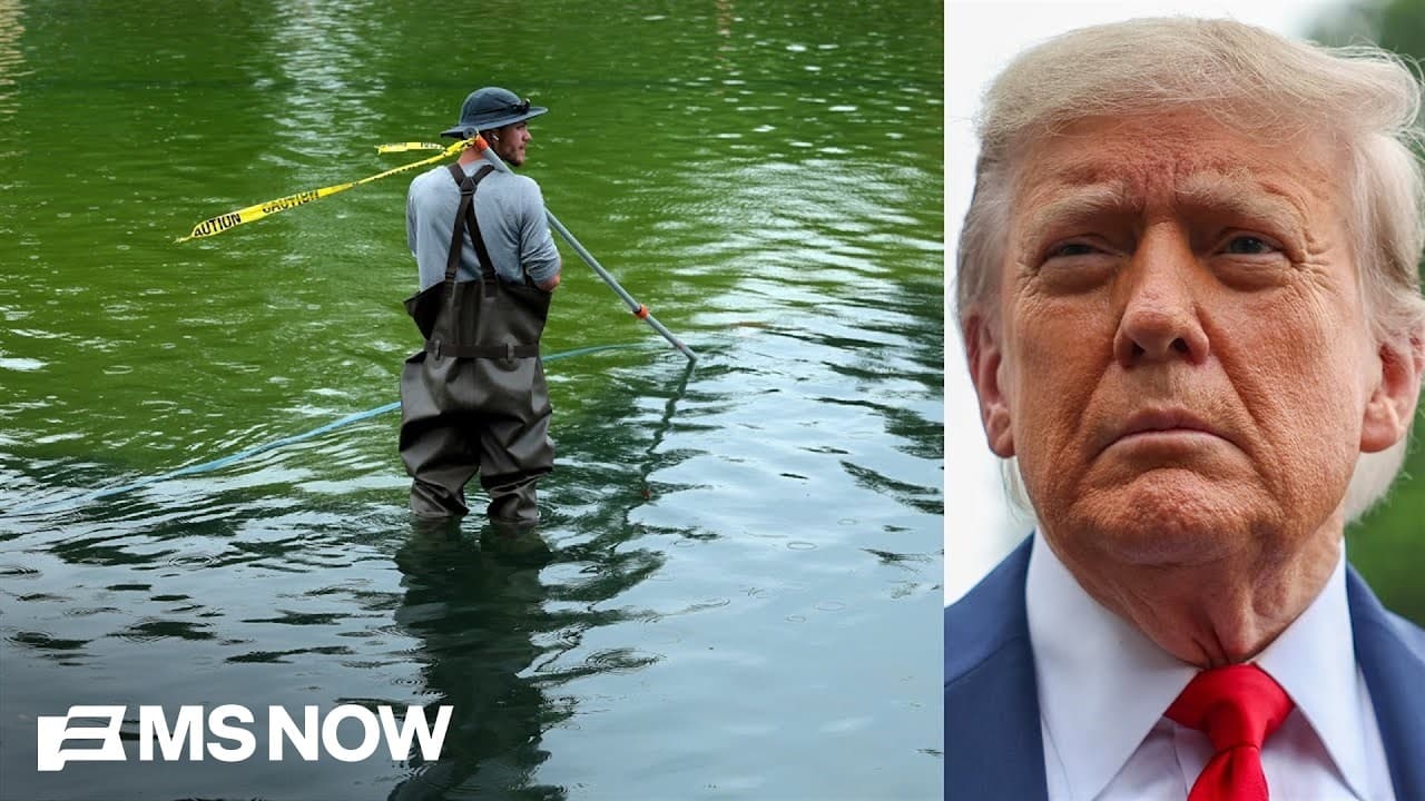Reflecting pool algae contractor now under scrutiny for another project