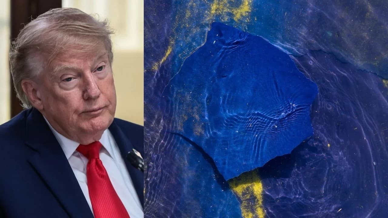 FINALLY: Trump’s BLUFF GETS CALLED with BOMBSHELL news