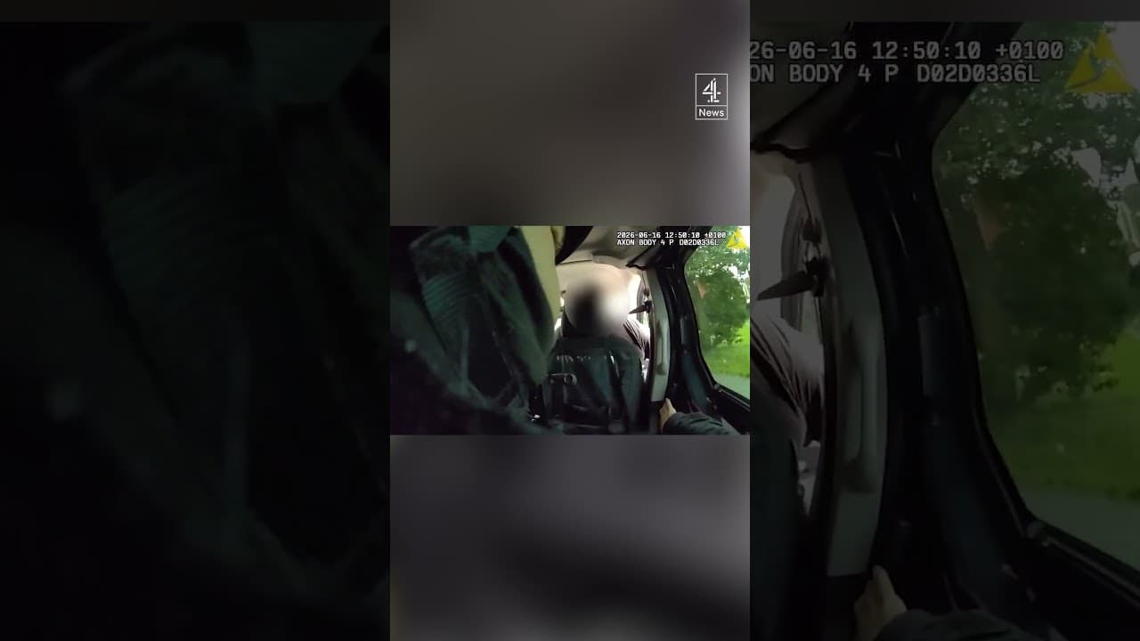 Dramatic moment van driver helps armed police catch fleeing suspect