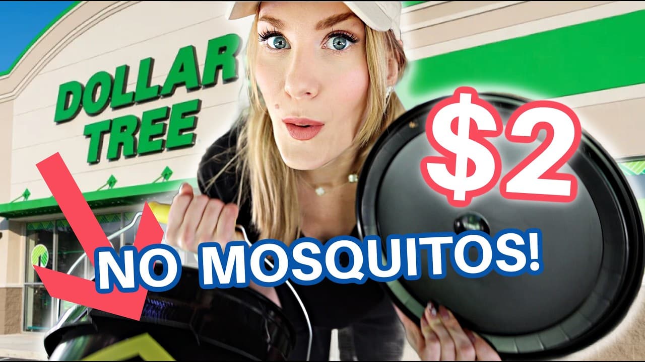 6 Dollar Tree Summer Hacks That Are Scandalously Good! 👀 🔥