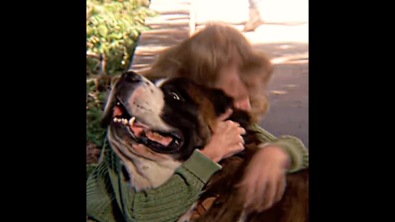 The dog has been protecting the children all along #movie #edit