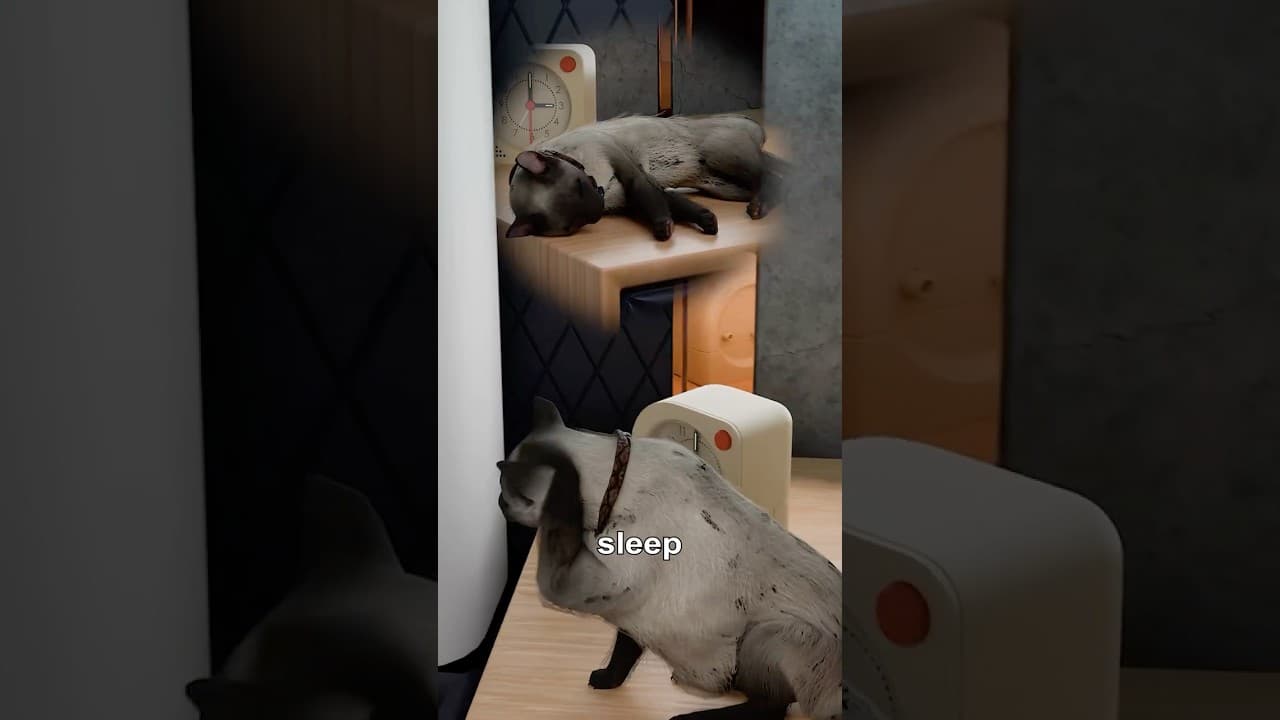 My Cat Wouldn't Stop Waking Me Up 🐱