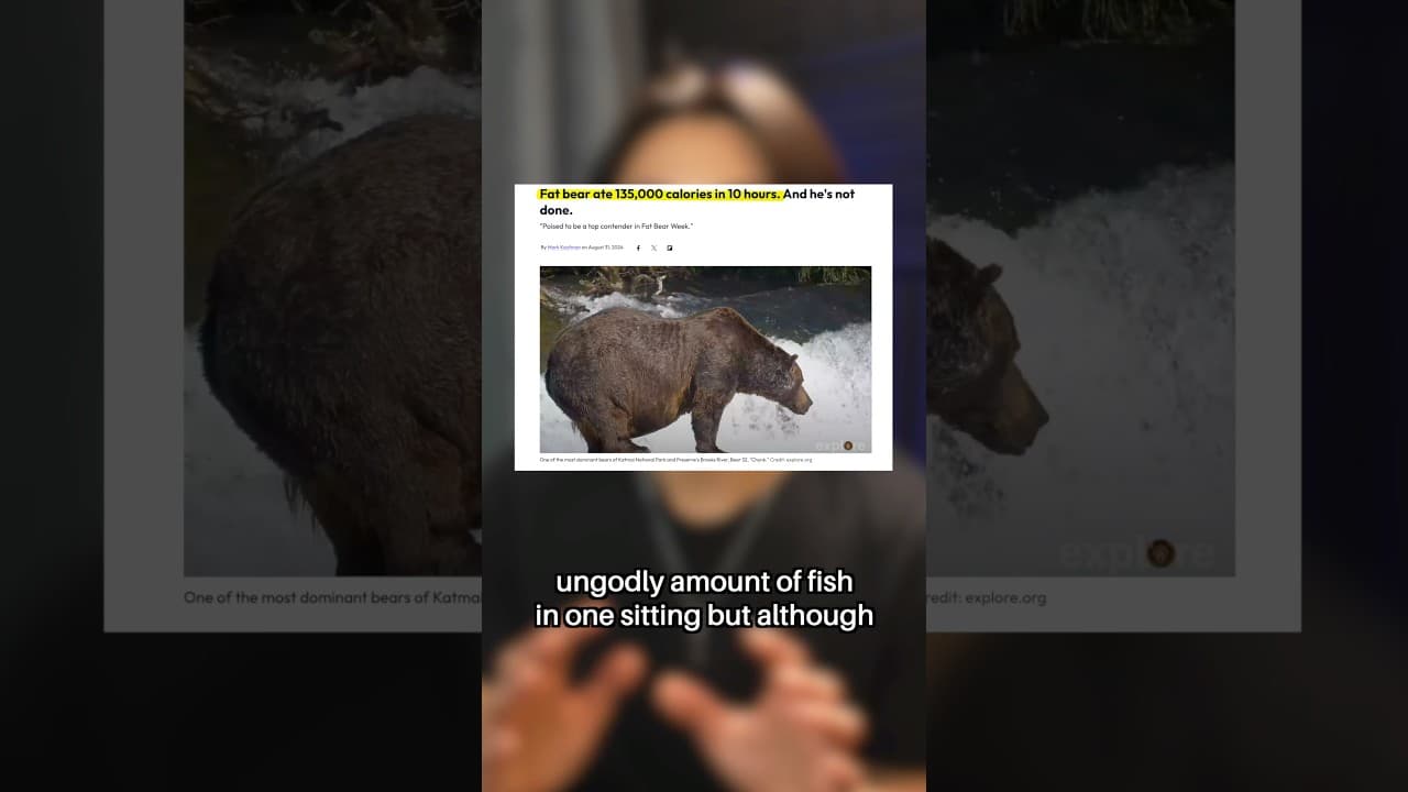 The Fat Bear’s Redemption Arc #shorts