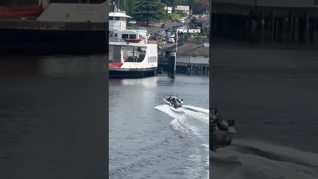Boater appears UNCONSCIOUS before speeding into rocks #shorts #us #news #foxnews #DUI