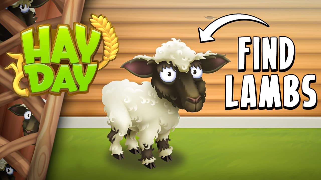 The LAMBS Have Run Away!
