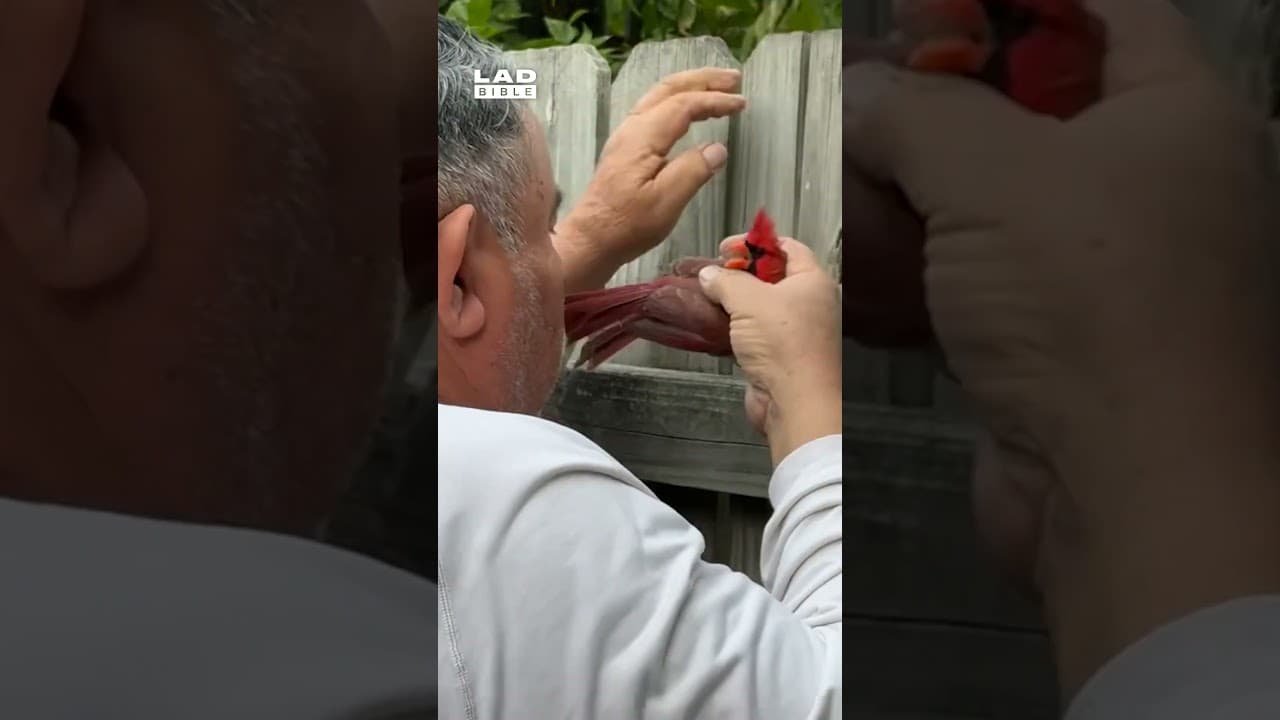 What a hero ❤️ YouTube thumbnail