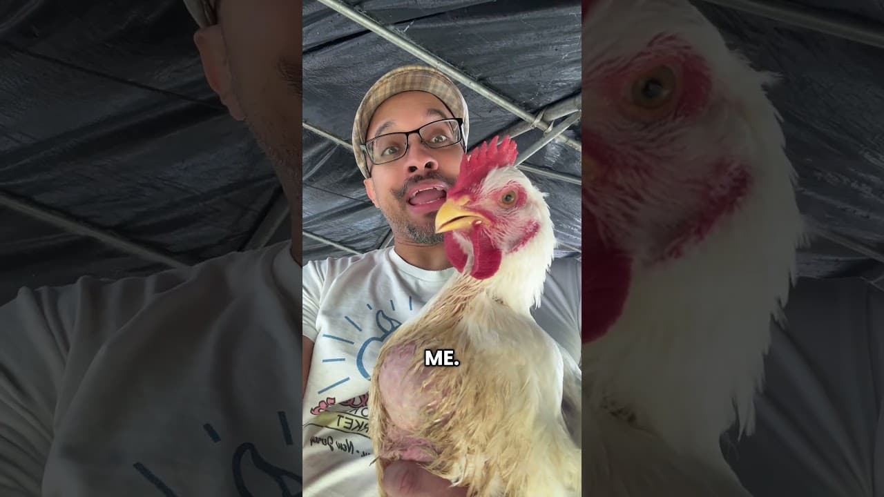 Woody chicken breast