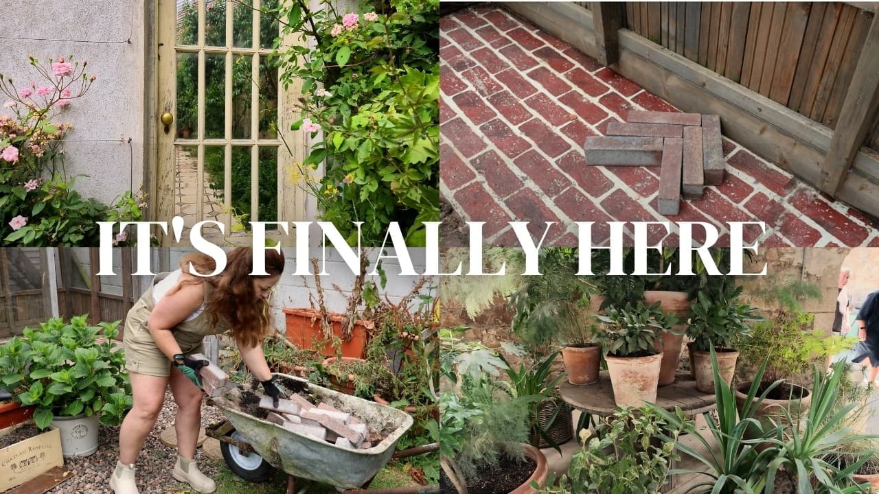 I waited weeks for these... 🧱 Big Greenhouse Transformation Incoming