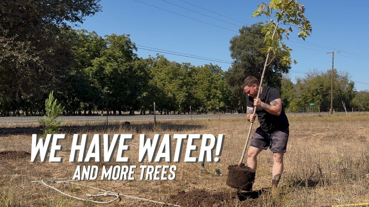 We Planted More Trees… And Finally Got Them Water!