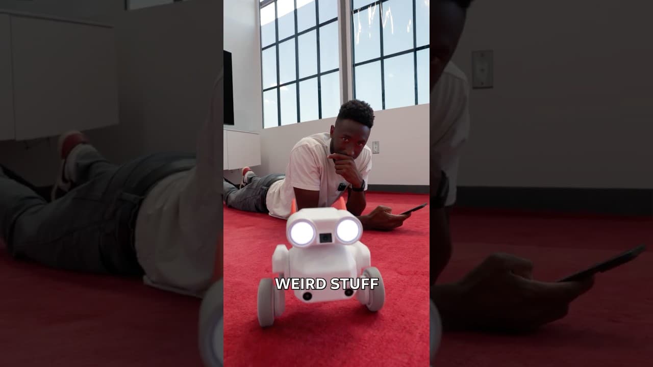 The Wildest Camera Robot
