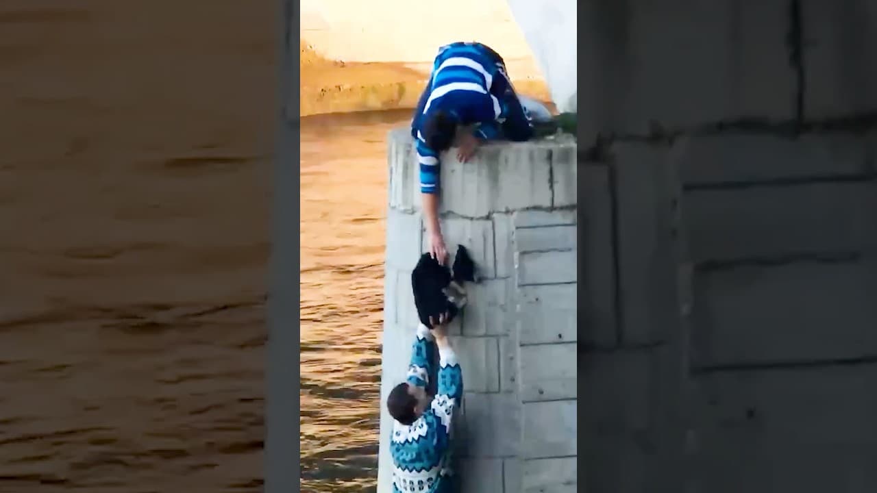 Hero Climbs Down A Bridge To Save A Stranded Puppy YouTube thumbnail