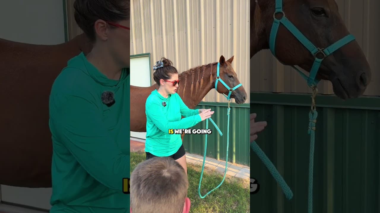 Lead your horse safely #horse #equestrianjourney #equestrian #horsegirl