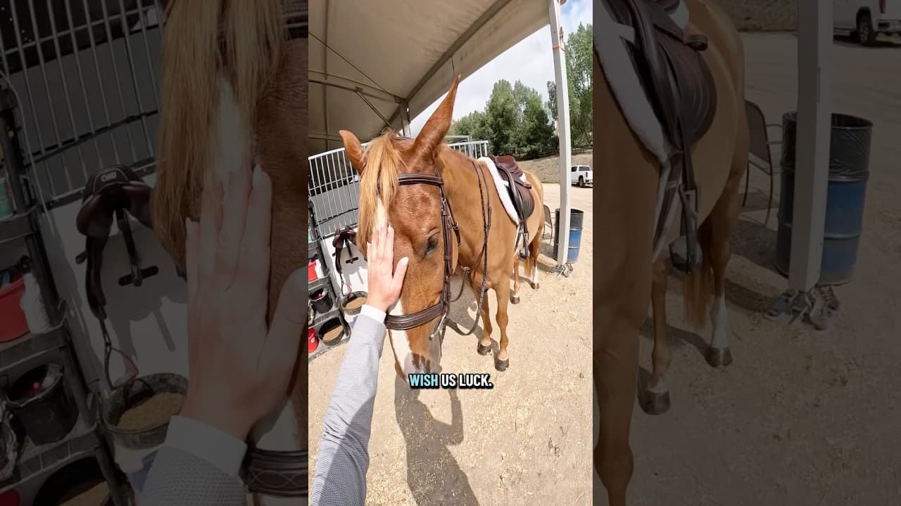 I felt so bad waking him up from his cute lil nap🥺🥺 #farmlife #fyp #pov #grwm #tackup