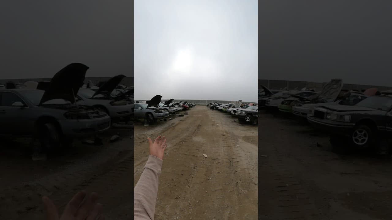 Junkyards used to be fun and cool. Now they’re second-hand dealerships. #grounded #automobile #short