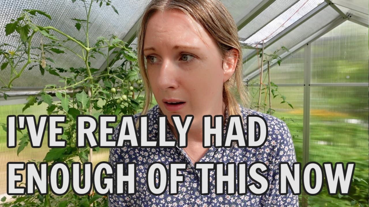 I'M GETTING TIRED OF THIS! / Allotment plot DISASTER again!