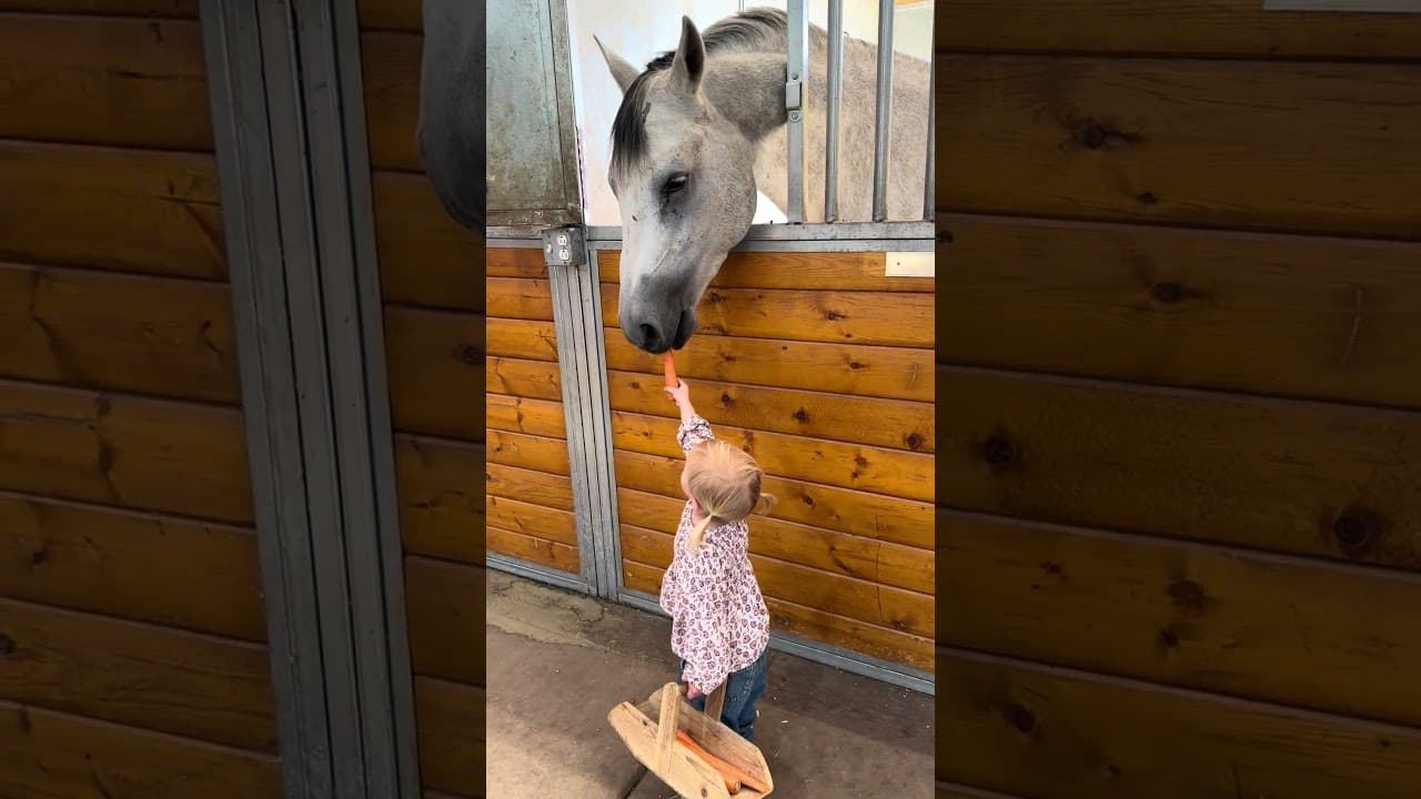 Dolce took revenge 🥕 #HorseKids #HorseLife #blessed #farmlife #newstart