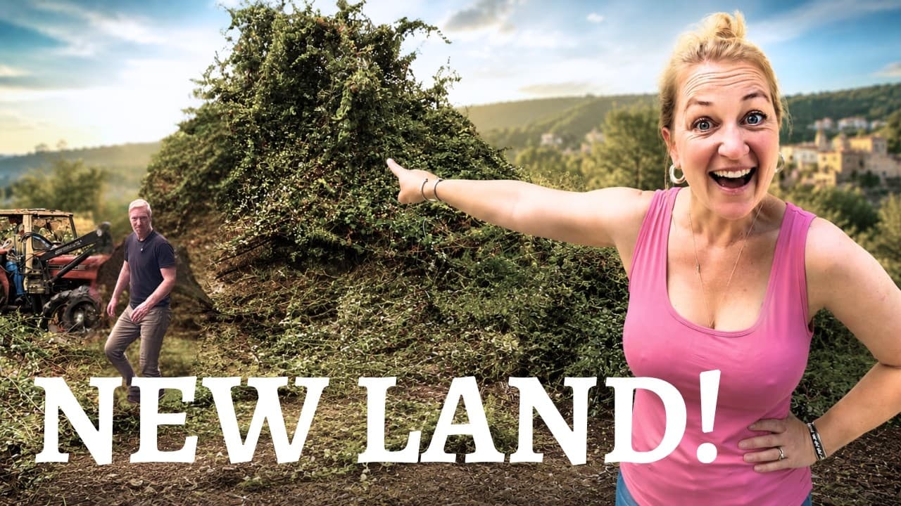 Discovering the Secrets of our New Land in Portugal