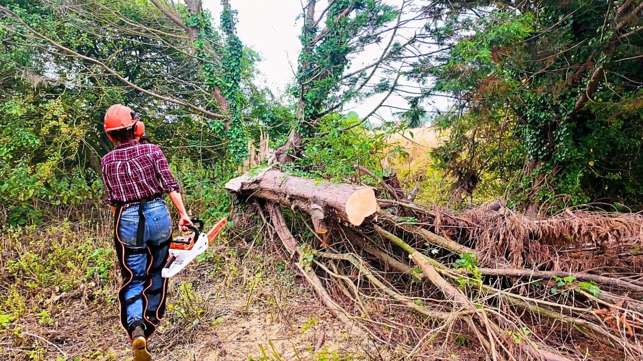 Three Years Later: Reclaiming Our Abandoned Farm