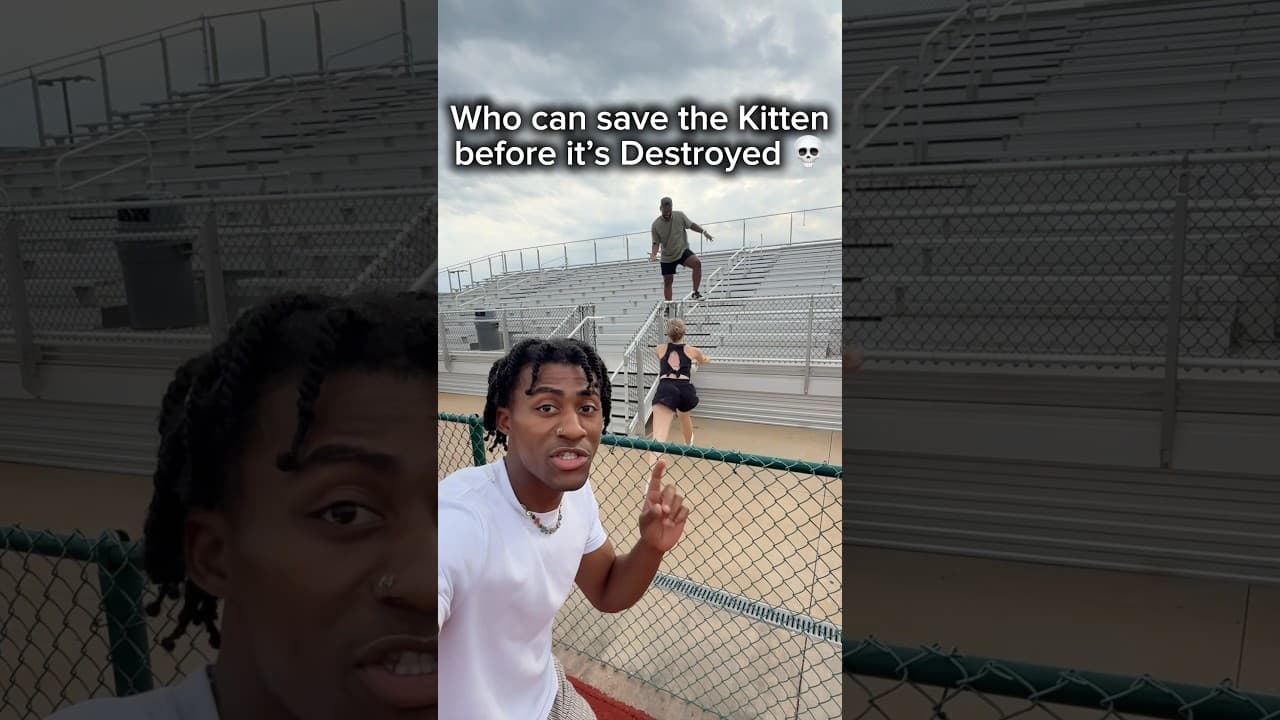 Who can Save the Kitten before itβs Destroyed π
