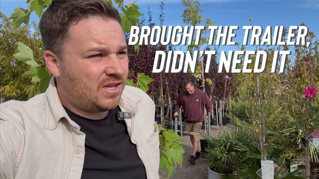 Went To Buy A Bunch Of Trees, It Didn’t Go As Planned….