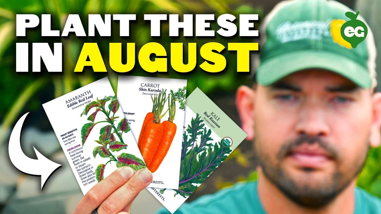 17 Crops You NEED To Start in August