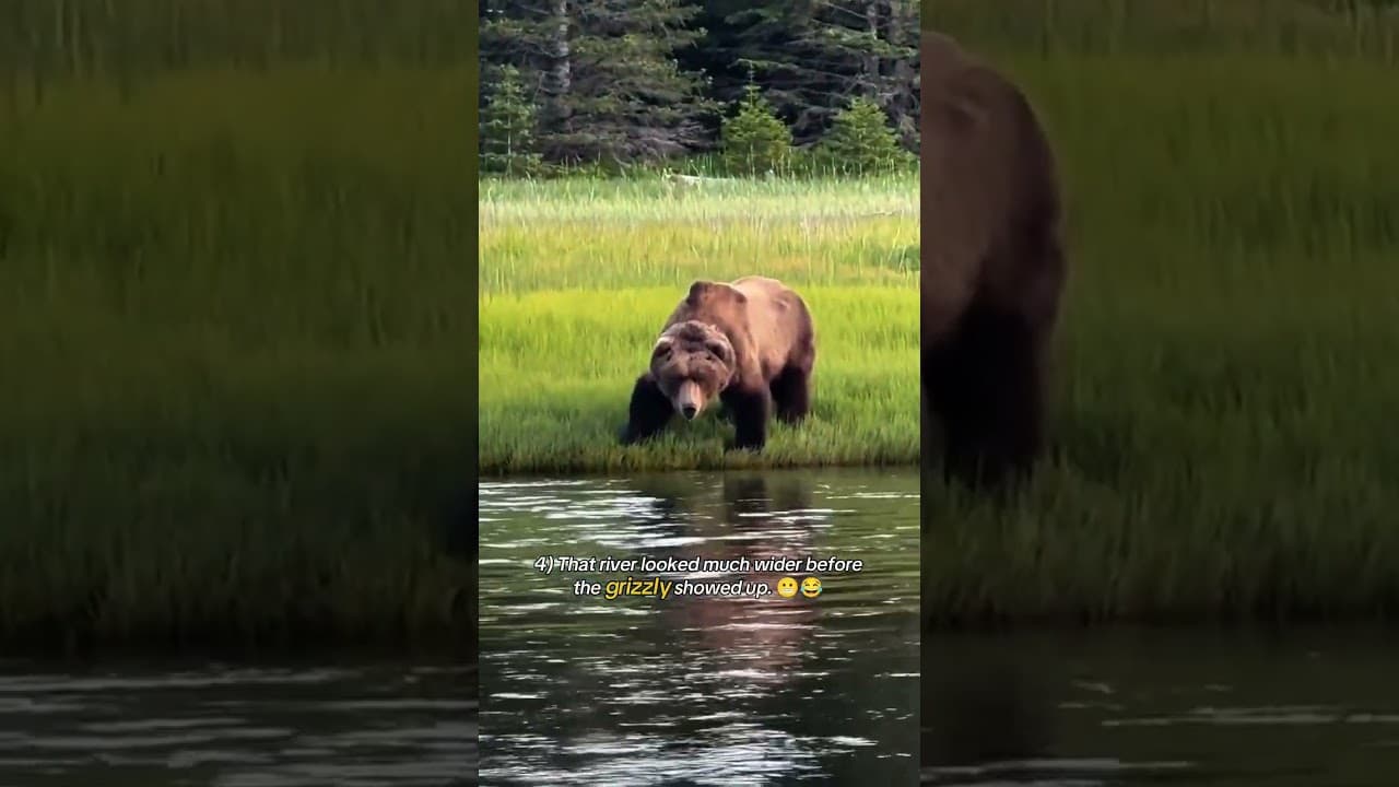 Top 11 surprising wild animal moments. πΎπ² #animals #wildlife #nature