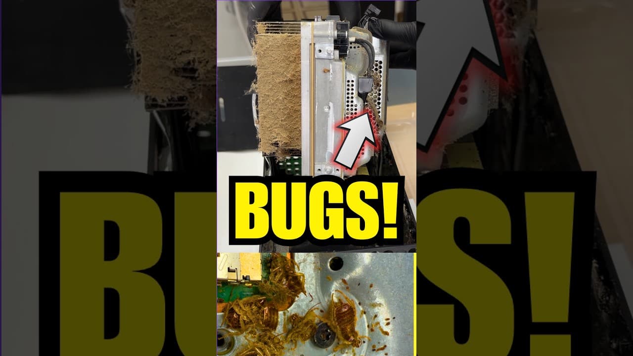 DISGUSTING Bug Infested Xbox from eBay! #tech #technology #shorts #pc