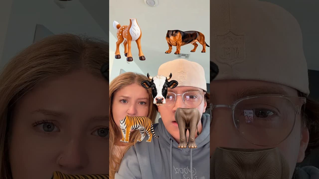 Can you match the ANIMAL? ๐