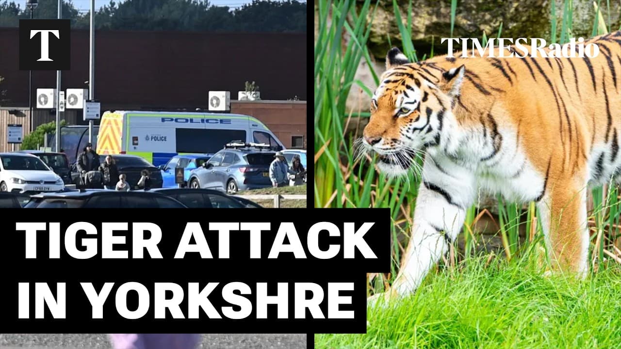 Man Dies After Tiger Attack At Yorkshire Wildlife Park