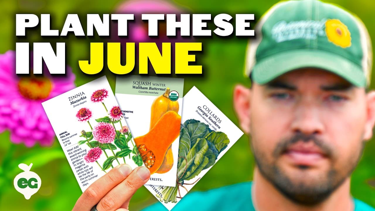 16 Crops You Should Plant In June ASAP