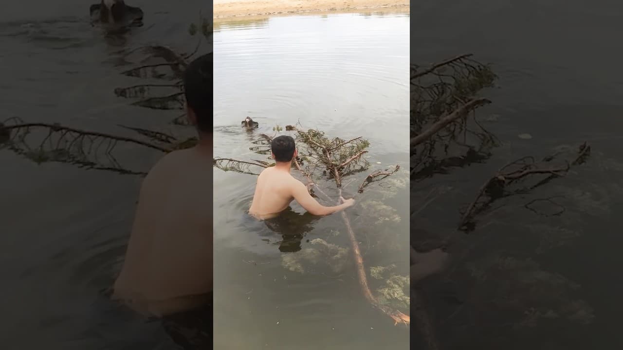 Poor Koala Was Fighting To Stay Afloat
