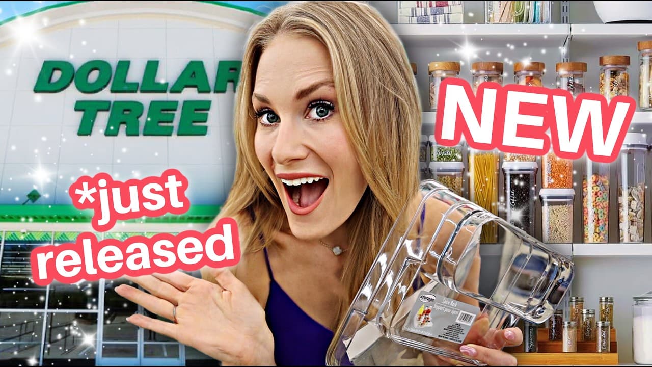 Dollar Tree Just Released Their BEST Organization Line Yet ✨