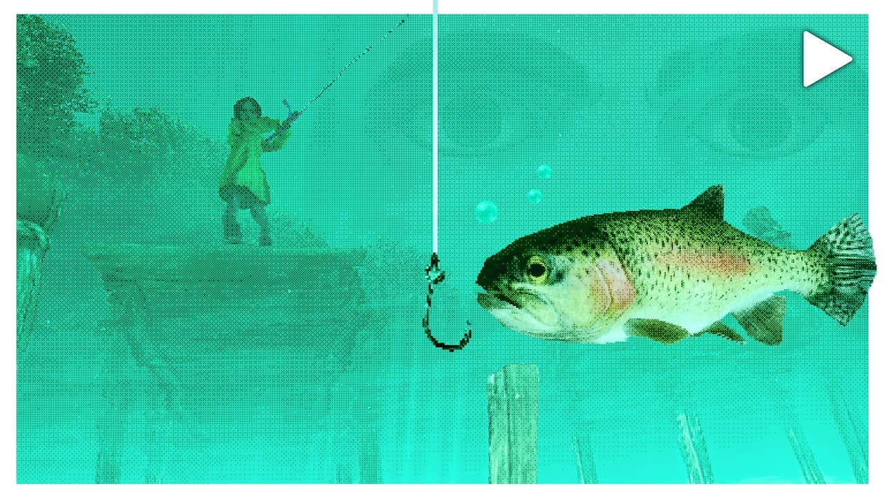 A Game About Fishing