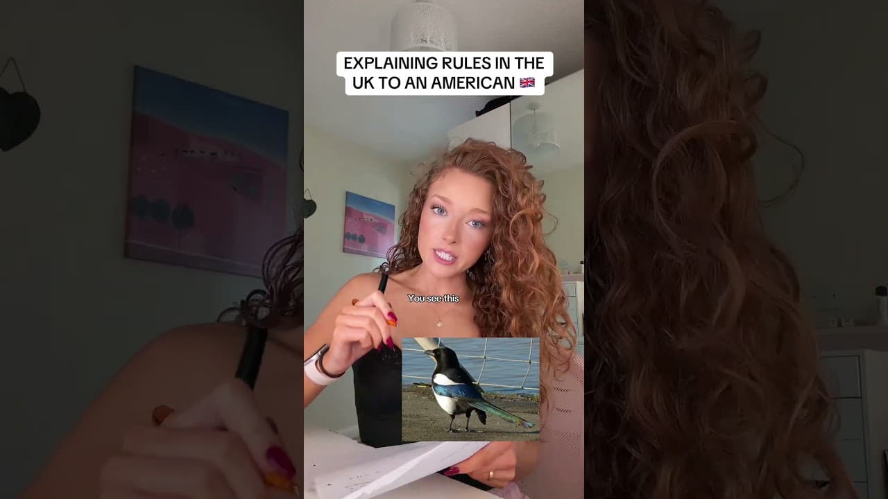 EXPLAINING RULES IN THE UK TO AN AMERICAN ๐ฌ๐ง #fyp #ukvsusa #usa #rulesintheuk #england #ukcitizen
