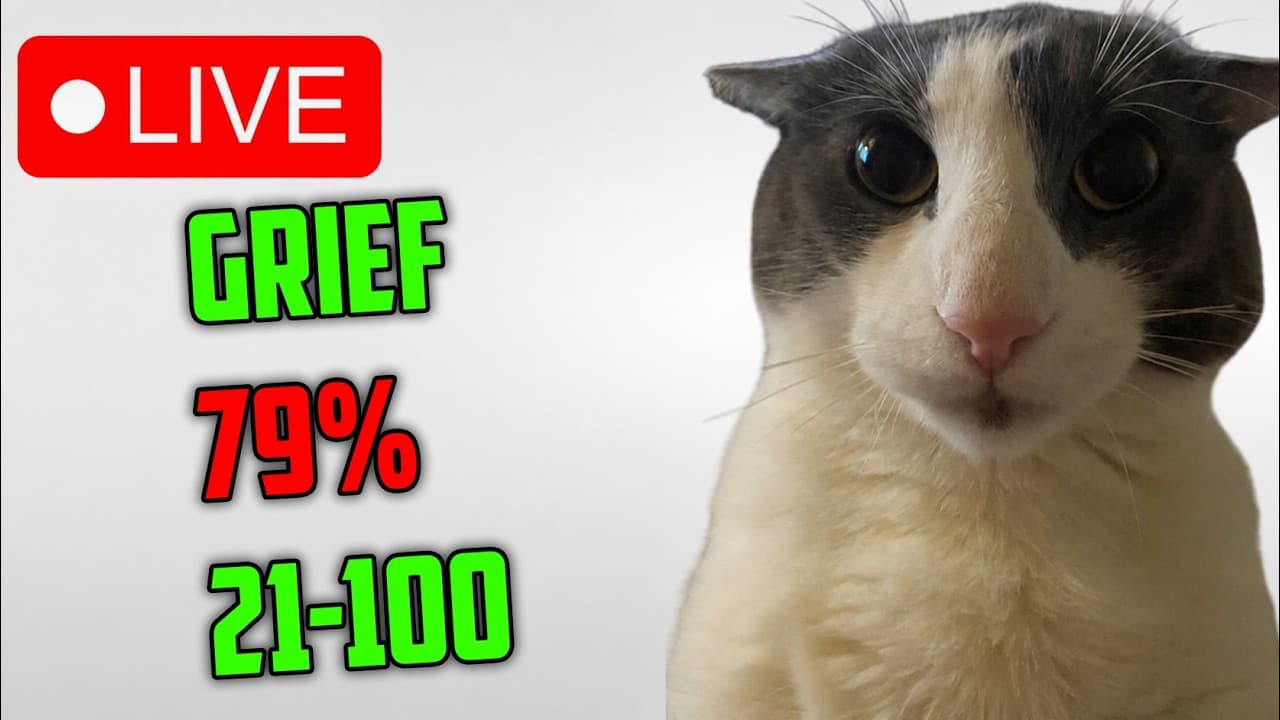 🔴 GRIEF 80%, 79% // 45%+ x27 🔴 21-100% 🔴 Stream 12 :3