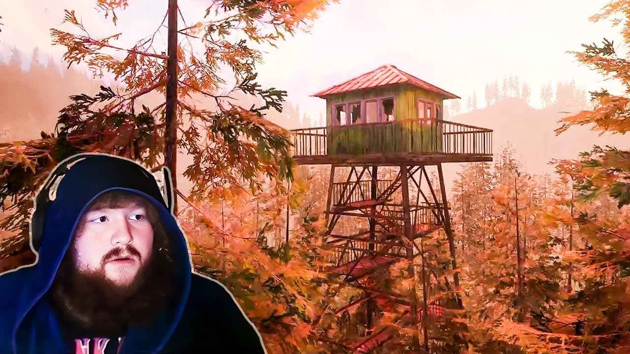 Forest Lookout…