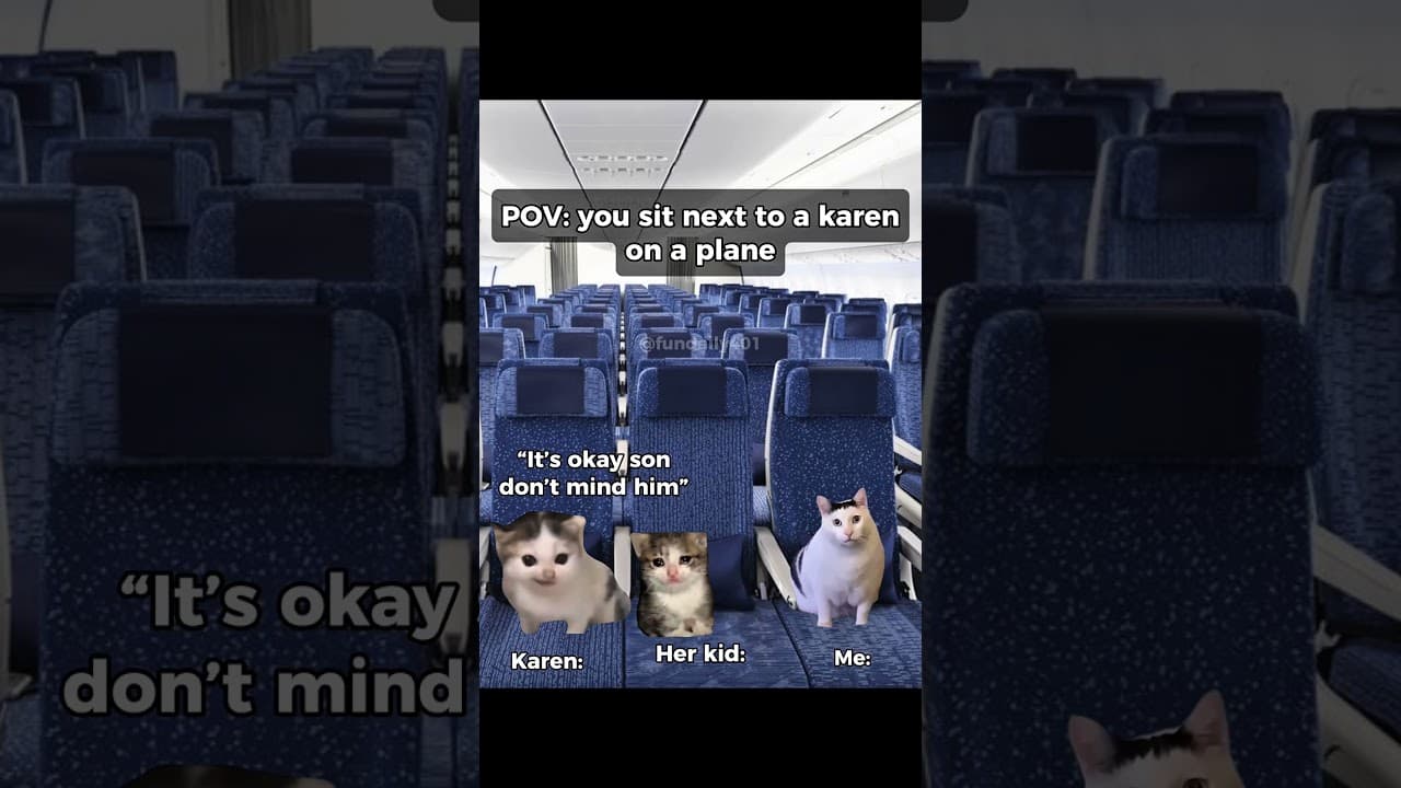 You sit next to a karen on a plane #shorts #relatable #catmemems