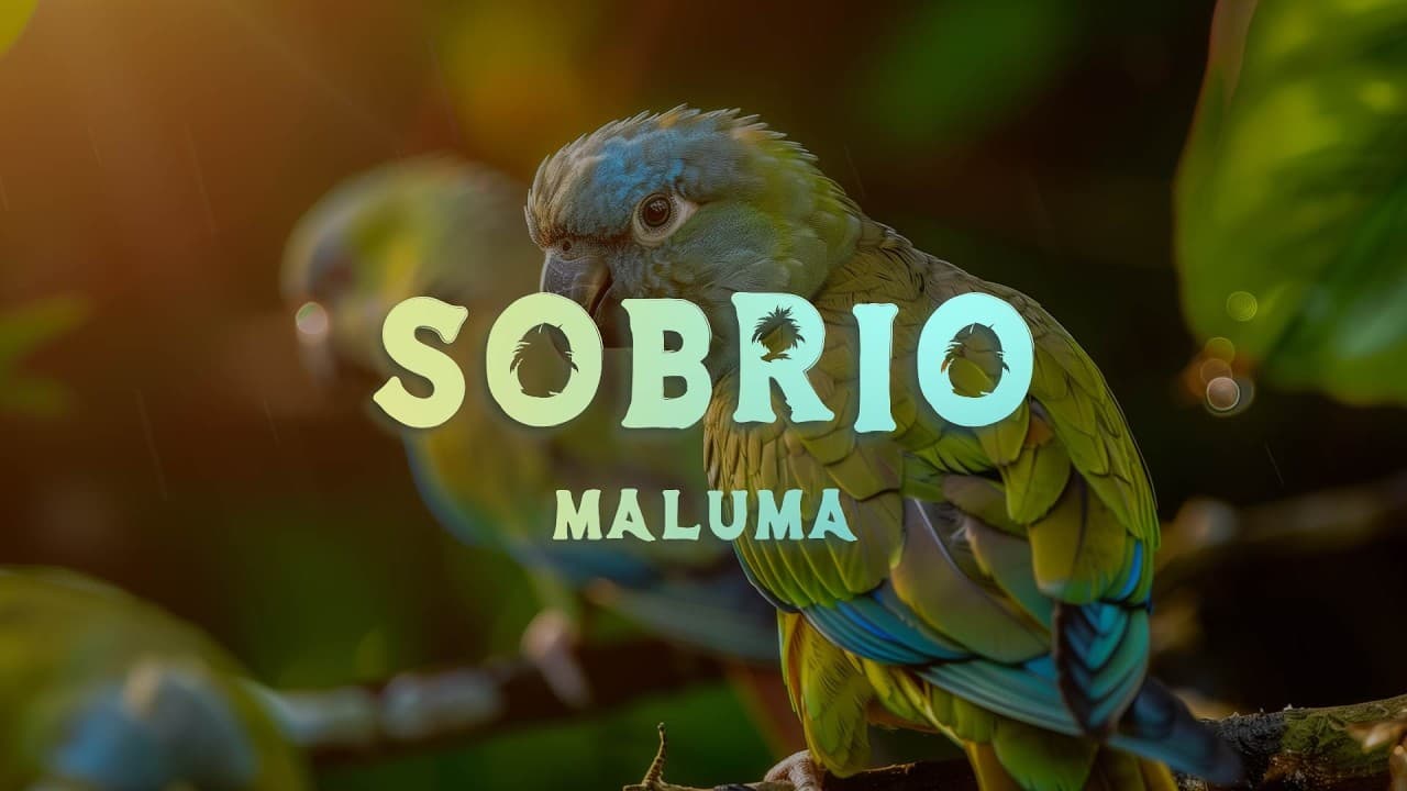Maluma - Sobrio (Lyrics/Letra)