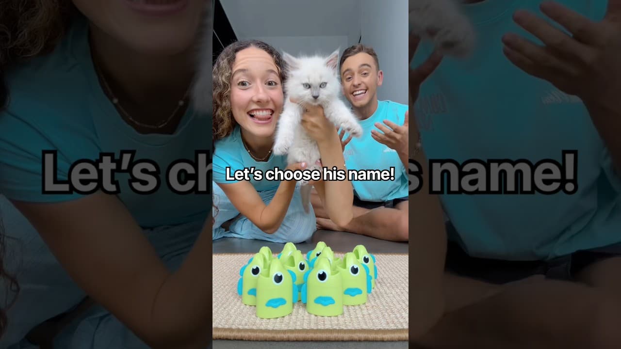 Letβs choose our cats name! πββ¬π± #cat #kitten #pet #funnycats