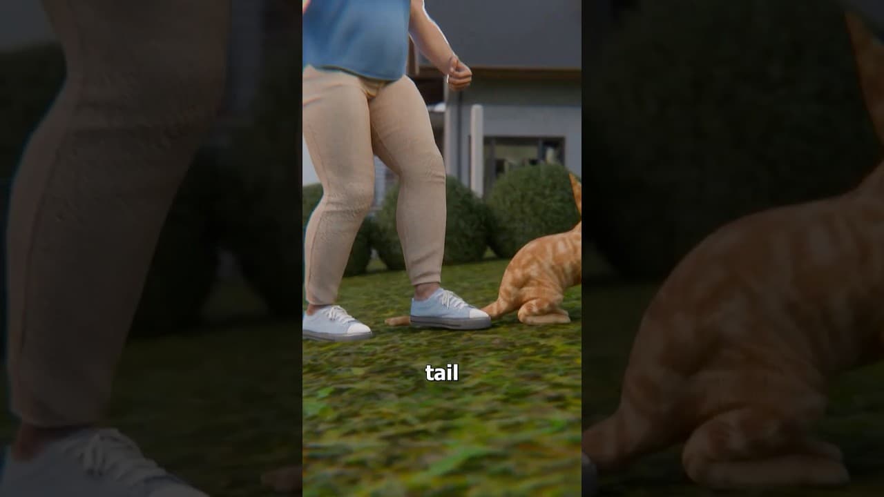 He Stomped On My Cat's Tail ๐ค YouTube thumbnail