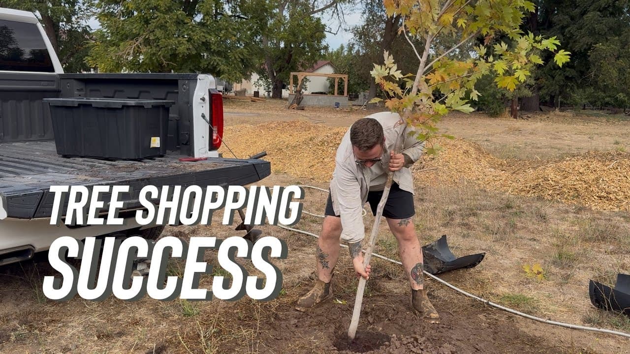 Tree Shopping Was MUCH Better This Time! Let’s Plant!