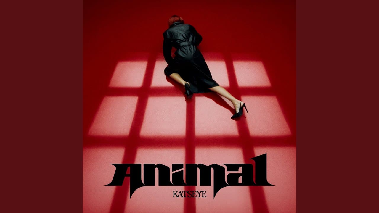 Animal