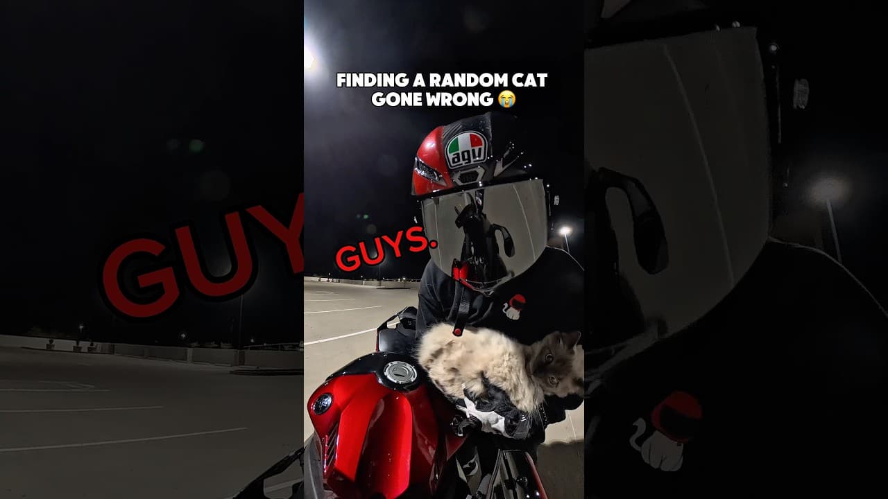 TRYING TO STEAL MY CAT #biker #motorcycle #moto #motovlog